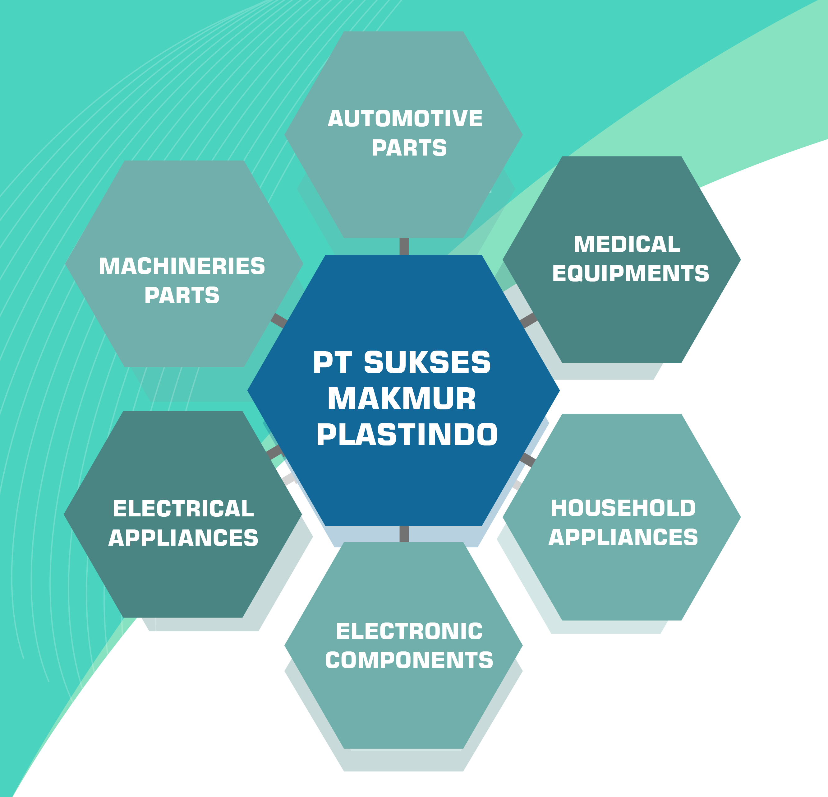 Our Services